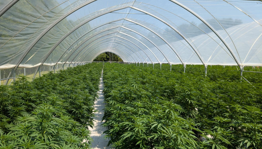 signal-2025-08-12-141846_002