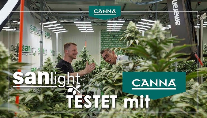 SANlight CANNA