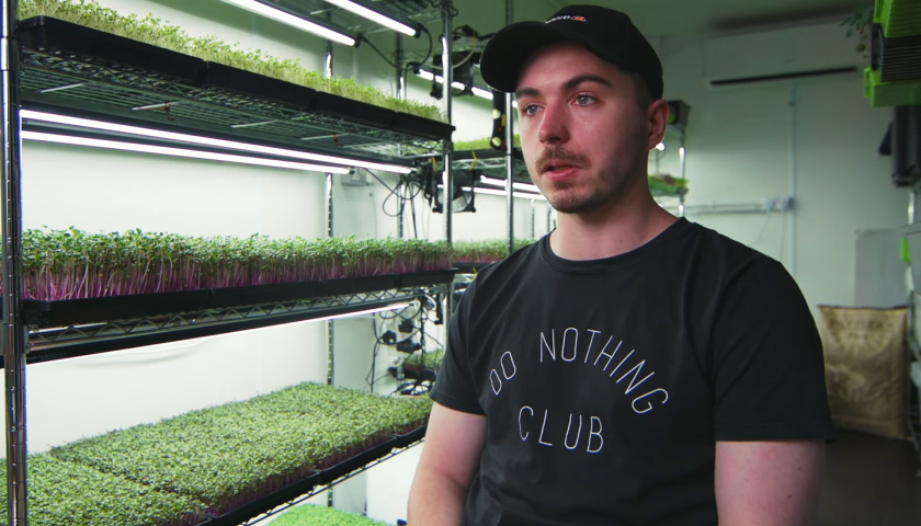 microgreens