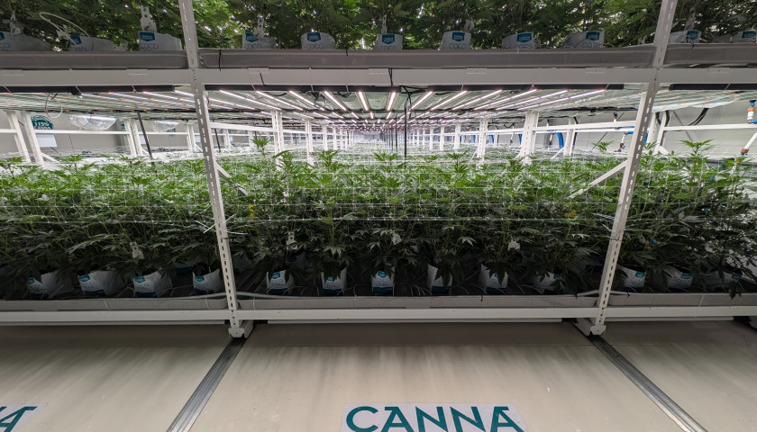 CANNA RnD Canada Image 2025-07-10 at 15.26.59 (1)