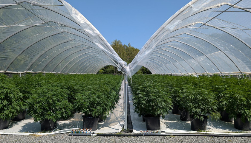 signal-2025-08-12-141846