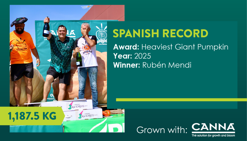 SP Giant pumpkin national record-40