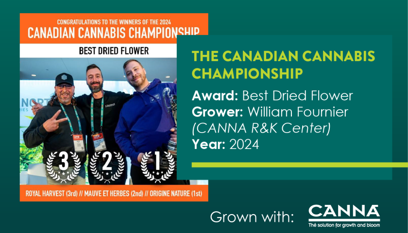 CA Canadian Cannabis Championship Best Dried Flower-06