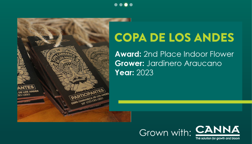 CH Copa De Los Andes-15