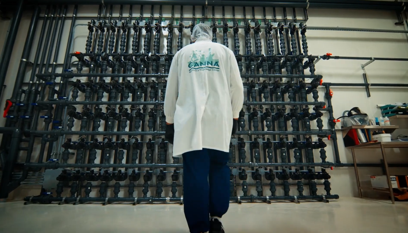 Inside Canada’s Largest Cannabis Producer_ Cannara Biotech’s Success with CANNA Nutrients 0-19 screenshot