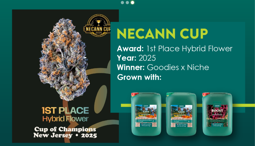 NECANN Cup-43