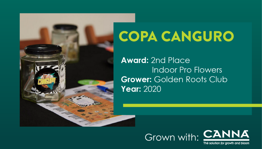 UR Copa Canguro 2020-26