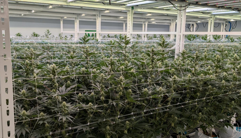 signal-2025-08-12-141846_007