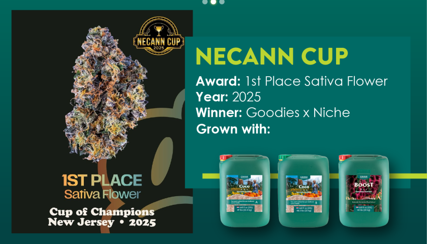 NECANN Cup-42