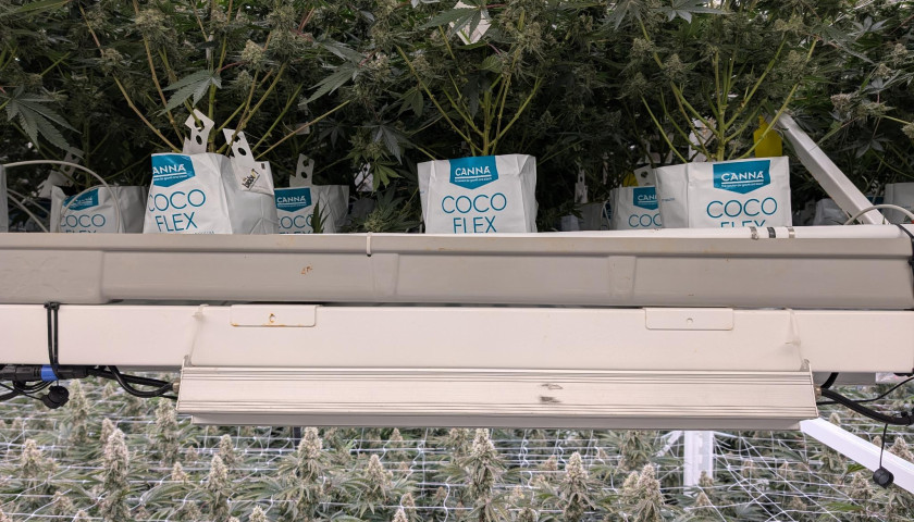 signal-2025-08-12-141846_004