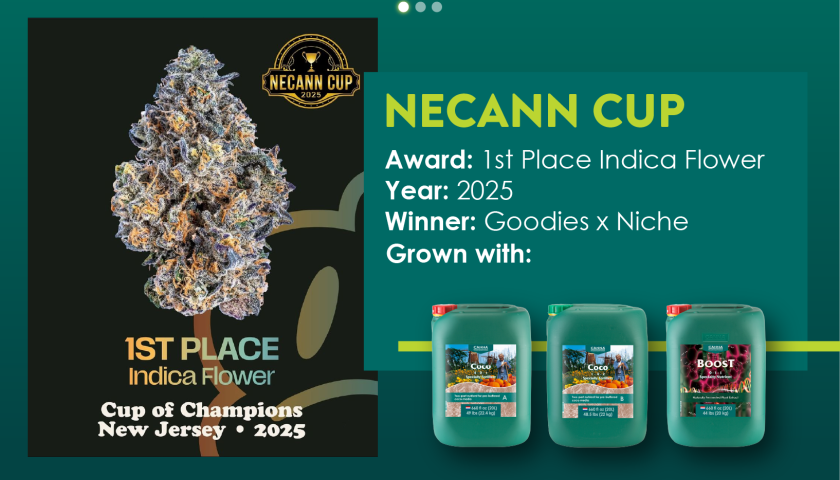 NECANN Cup-41