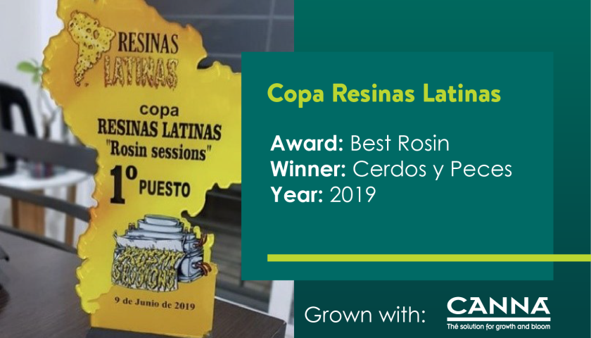 ARG Copa Resinas Latinas-01