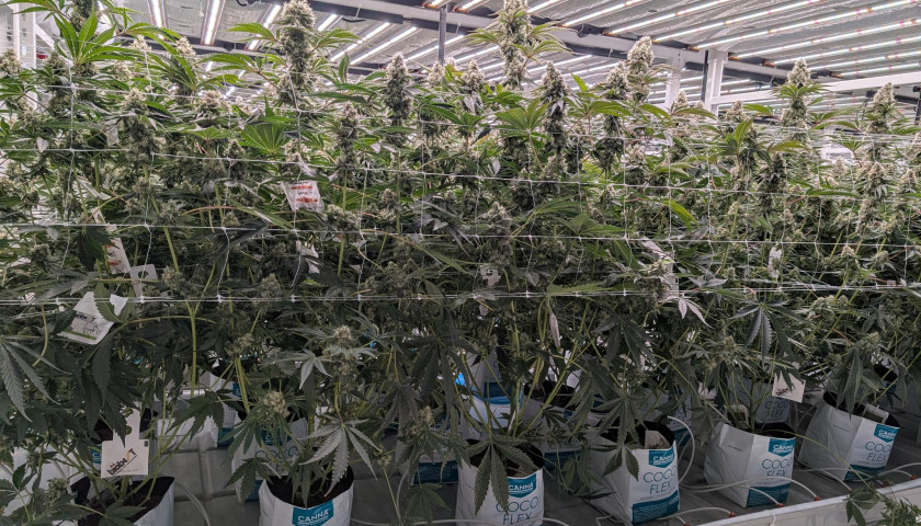 signal-2025-08-12-141846_003