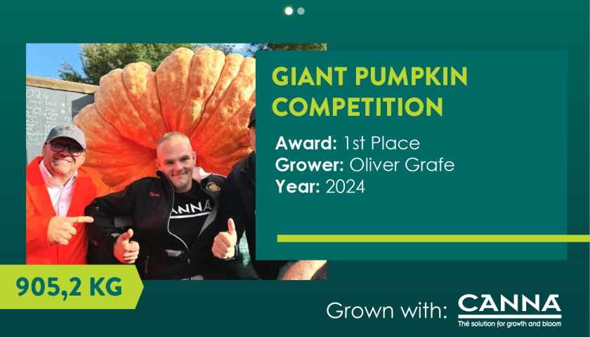 DE Giant Pumpkin Competition-19