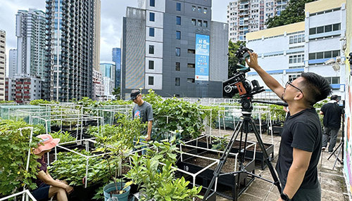 blog-canna-inside-2-03