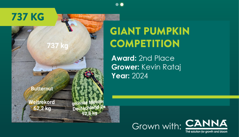 DE Giant Pumpkin Competition-20
