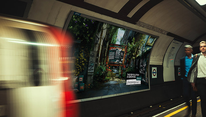 blog-canna-uk-the-revolution-is-growing-02