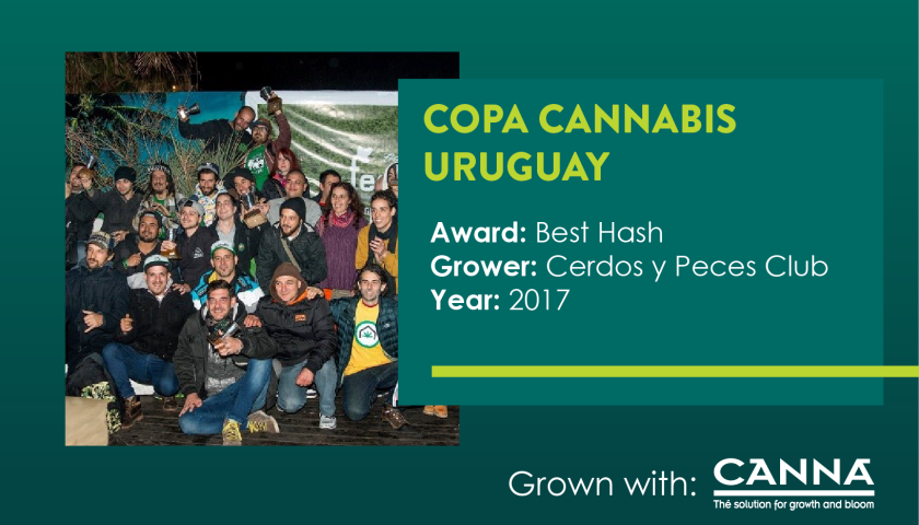 UR Copa Cannabis Uruguay-21
