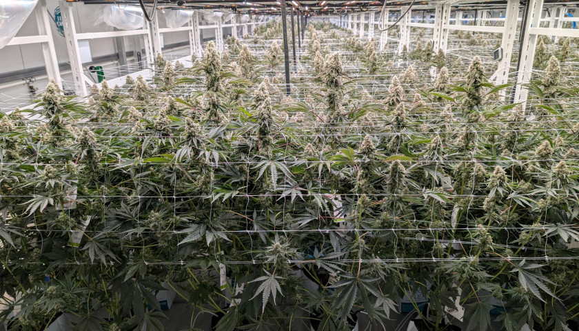 signal-2025-08-12-141846_006